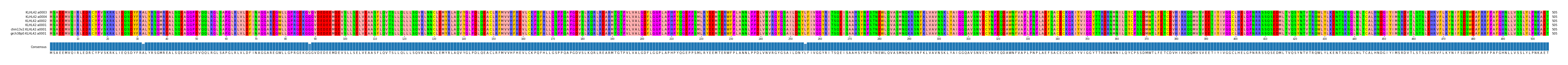 Multiple Alignments (by translate haplotype similarity)