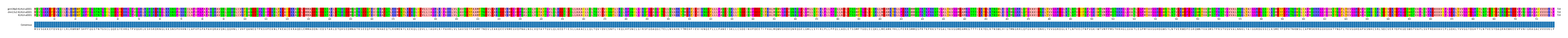 Multiple Alignments (by translate haplotype similarity)