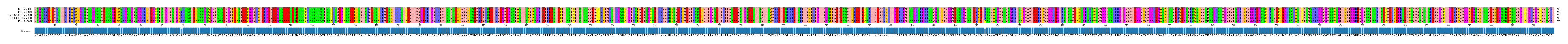 Multiple Alignments (by translate haplotype similarity)