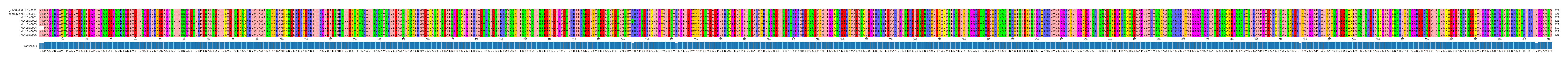 Multiple Alignments (by translate haplotype frequency)