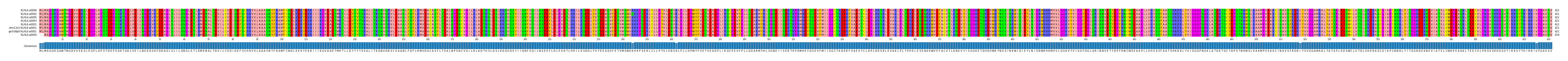 Multiple Alignments (by translate haplotype similarity)