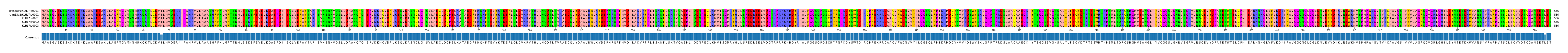 Multiple Alignments (by translate haplotype frequency)