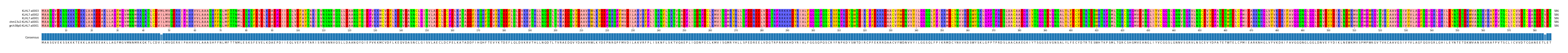 Multiple Alignments (by translate haplotype similarity)