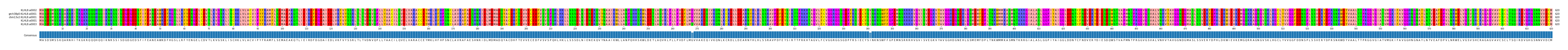 Multiple Alignments (by translate haplotype similarity)