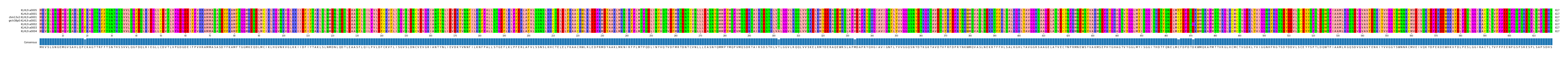 Multiple Alignments (by translate haplotype similarity)