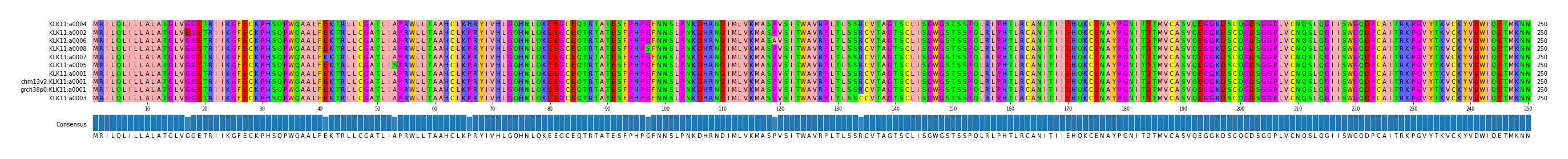 Multiple Alignments (by translate haplotype similarity)