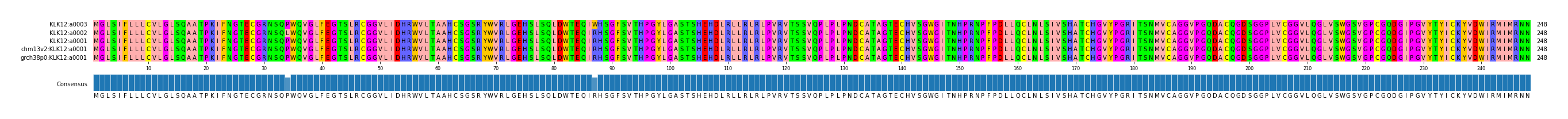 Multiple Alignments (by translate haplotype similarity)