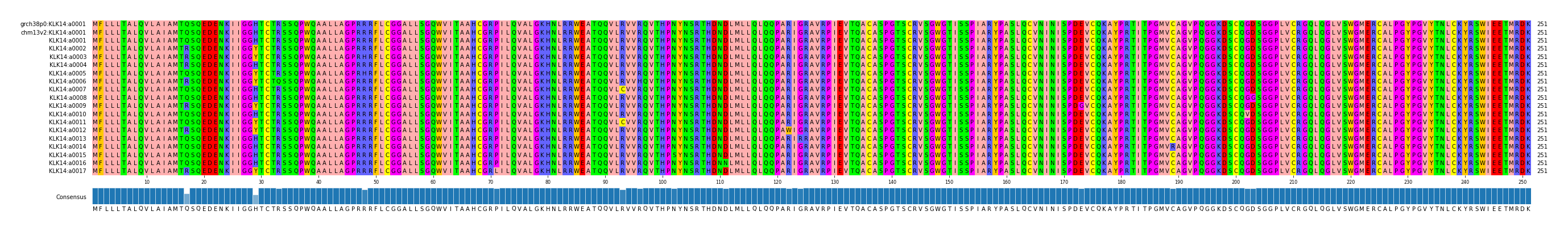 Multiple Alignments (by translate haplotype frequency)