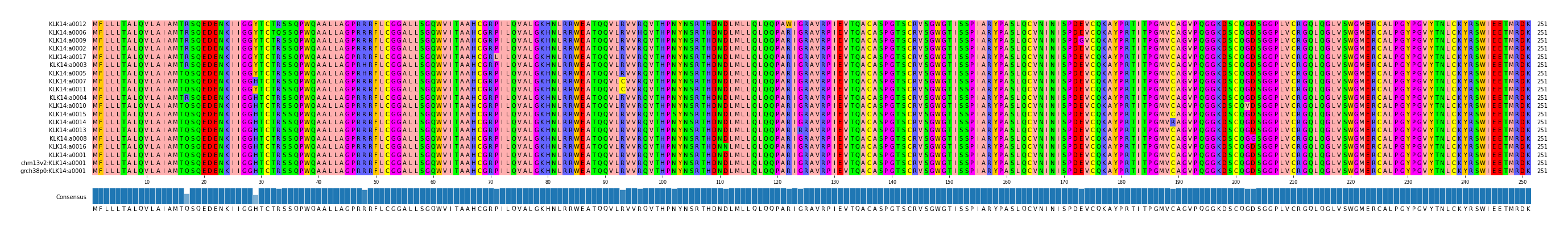 Multiple Alignments (by translate haplotype similarity)