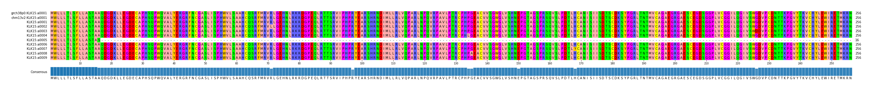 Multiple Alignments (by translate haplotype frequency)