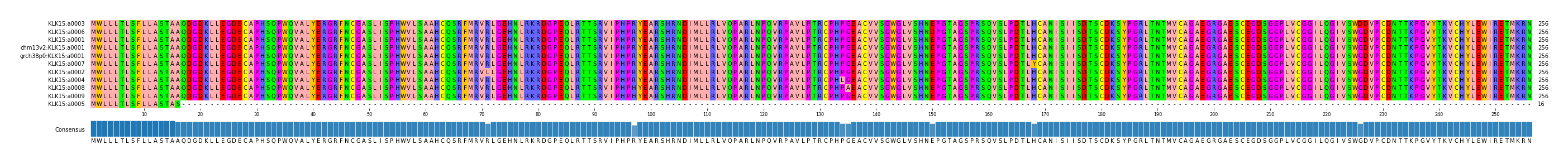 Multiple Alignments (by translate haplotype similarity)