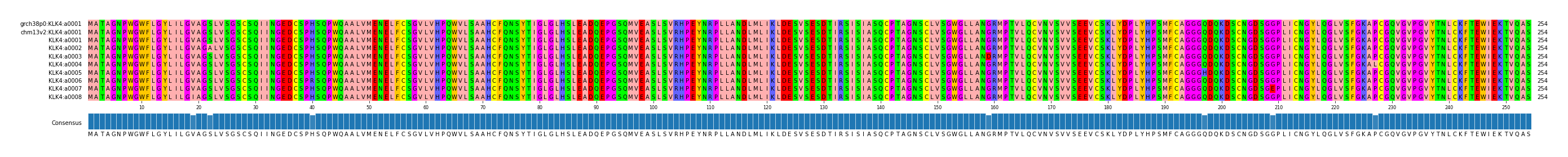 Multiple Alignments (by translate haplotype frequency)