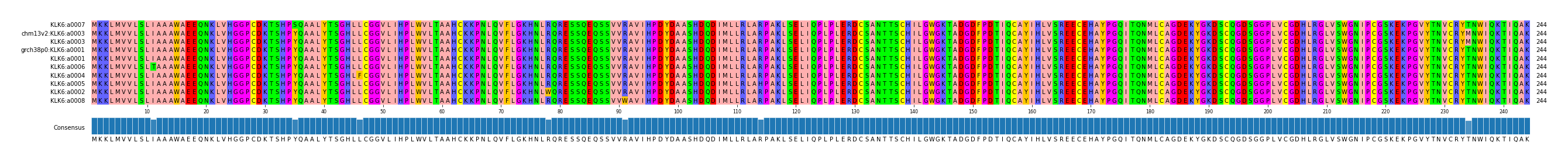 Multiple Alignments (by translate haplotype similarity)