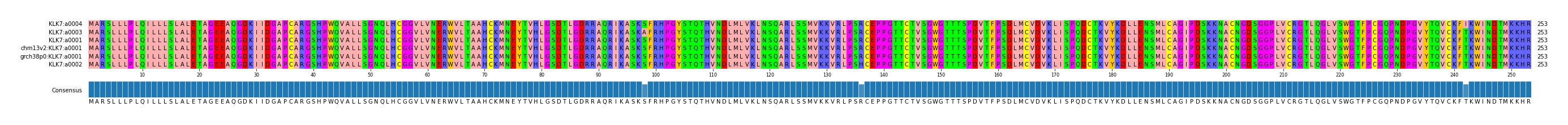Multiple Alignments (by translate haplotype similarity)