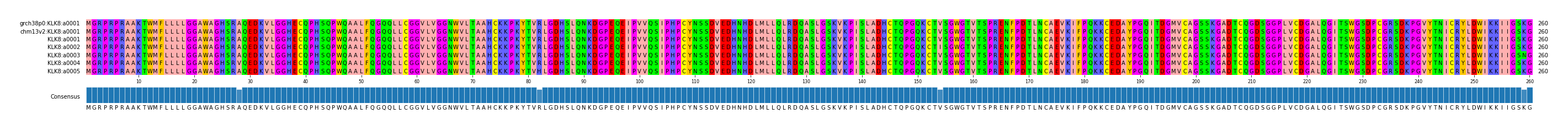 Multiple Alignments (by translate haplotype frequency)
