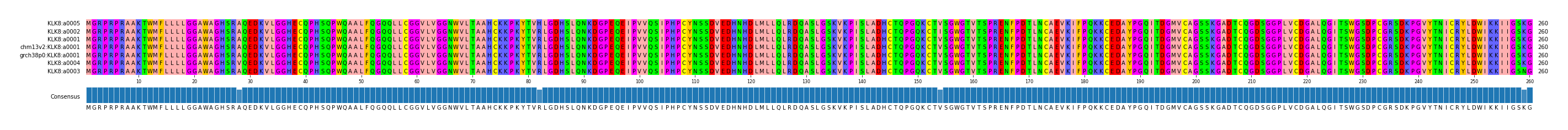 Multiple Alignments (by translate haplotype similarity)
