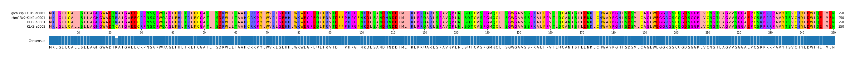 Multiple Alignments (by translate haplotype similarity)
