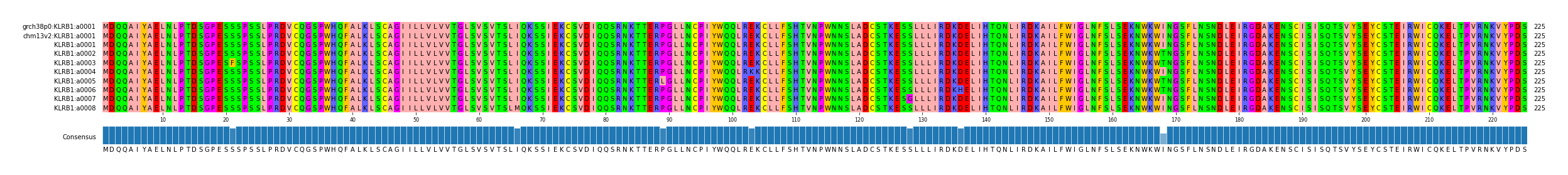 Multiple Alignments (by translate haplotype frequency)