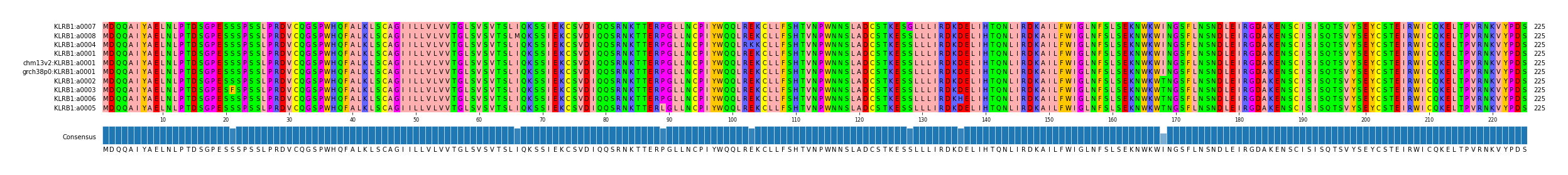 Multiple Alignments (by translate haplotype similarity)