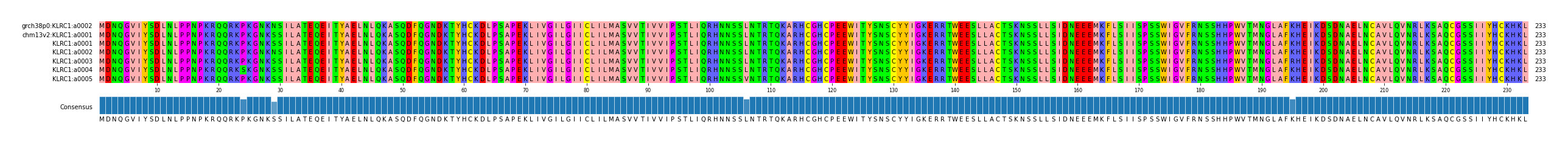Multiple Alignments (by translate haplotype frequency)