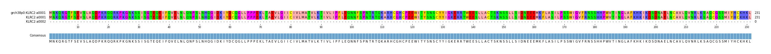 Multiple Alignments (by translate haplotype similarity)