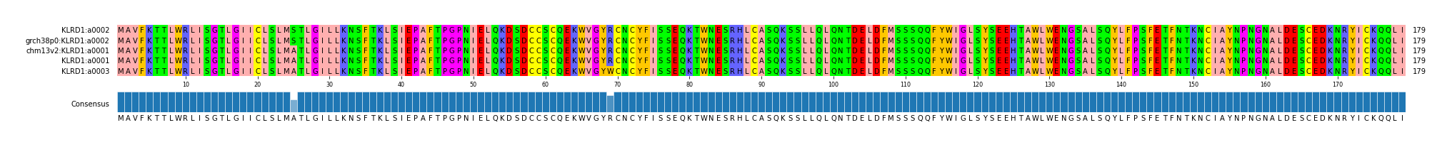 Multiple Alignments (by translate haplotype similarity)