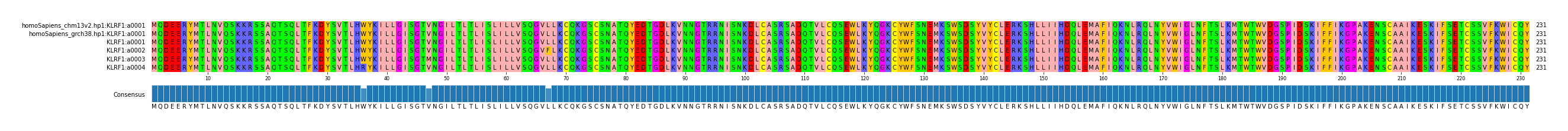 Multiple Alignments (by translate haplotype frequency)