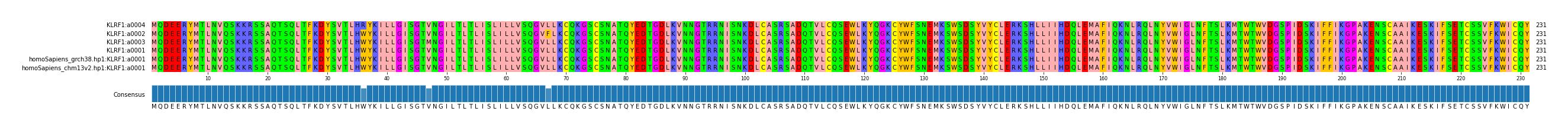Multiple Alignments (by translate haplotype similarity)