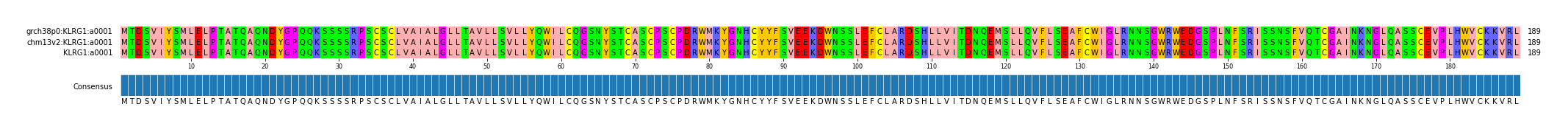 Multiple Alignments (by translate haplotype similarity)