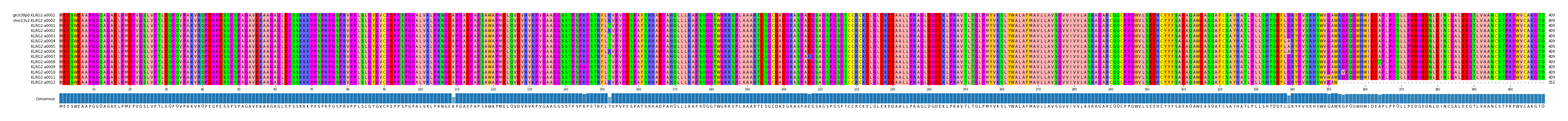 Multiple Alignments (by translate haplotype frequency)