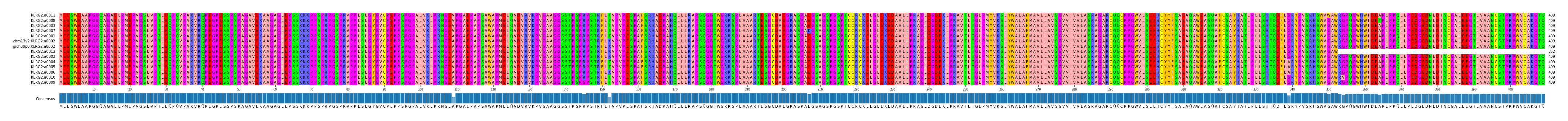 Multiple Alignments (by translate haplotype similarity)