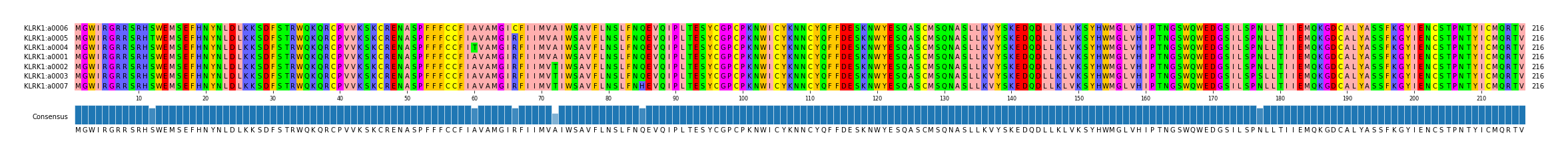 Multiple Alignments (by translate haplotype similarity)