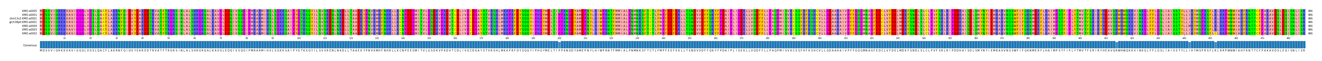 Multiple Alignments (by translate haplotype similarity)