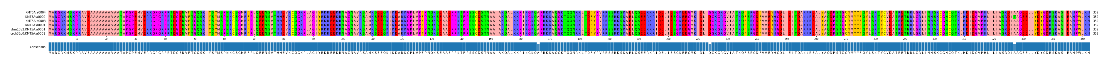 Multiple Alignments (by translate haplotype similarity)