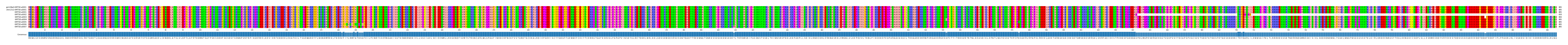 Multiple Alignments (by translate haplotype frequency)