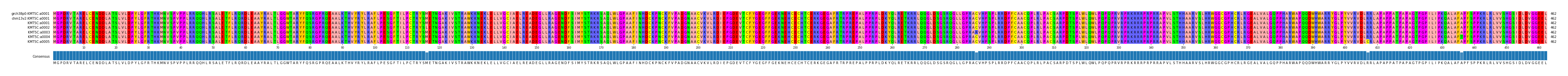 Multiple Alignments (by translate haplotype frequency)