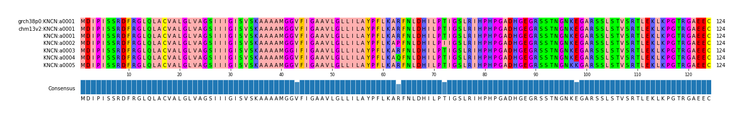 Multiple Alignments (by translate haplotype frequency)