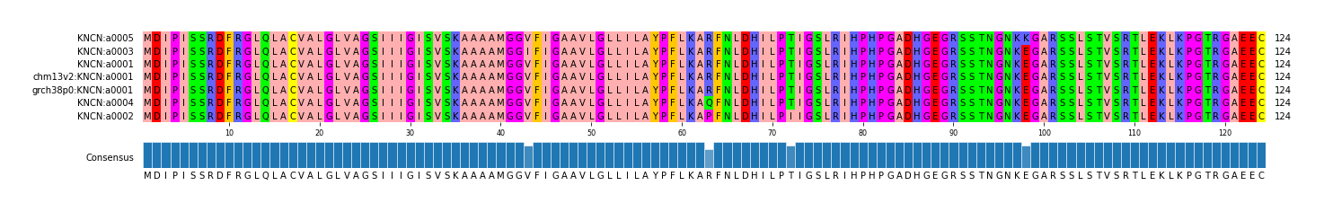 Multiple Alignments (by translate haplotype similarity)