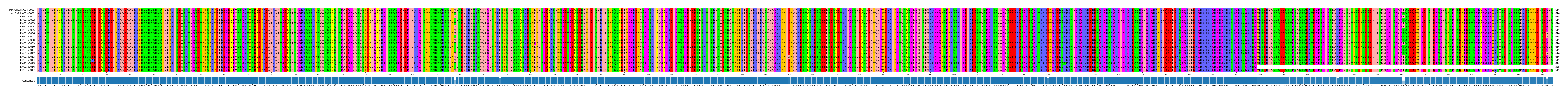 Multiple Alignments (by translate haplotype frequency)