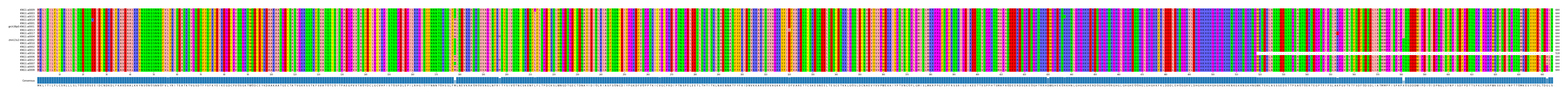 Multiple Alignments (by translate haplotype similarity)