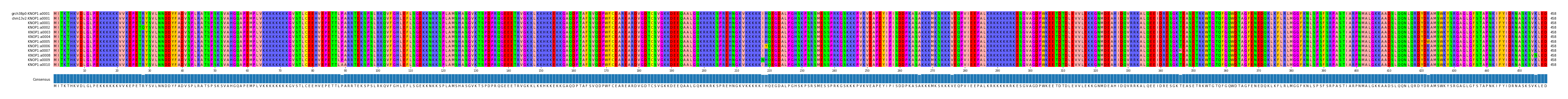 Multiple Alignments (by translate haplotype frequency)