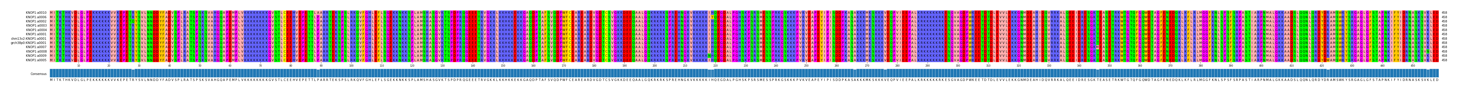 Multiple Alignments (by translate haplotype similarity)