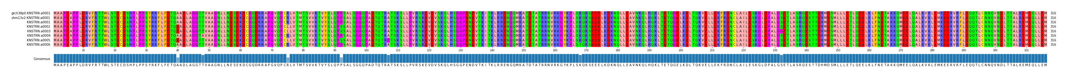Multiple Alignments (by translate haplotype frequency)
