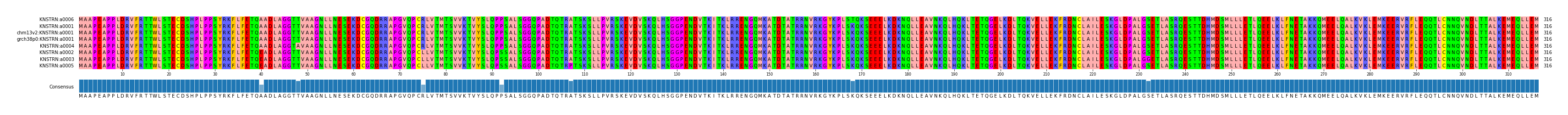 Multiple Alignments (by translate haplotype similarity)