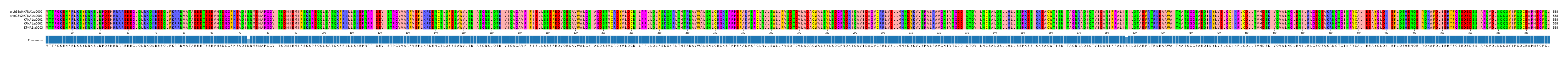 Multiple Alignments (by translate haplotype frequency)