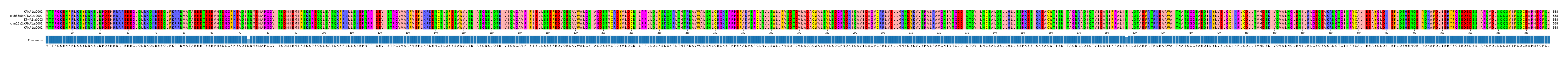 Multiple Alignments (by translate haplotype similarity)