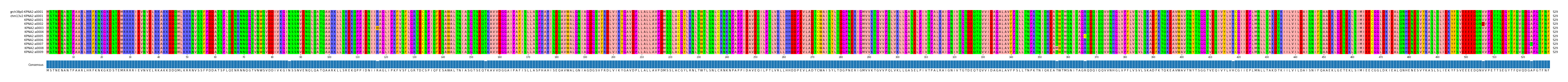 Multiple Alignments (by translate haplotype frequency)