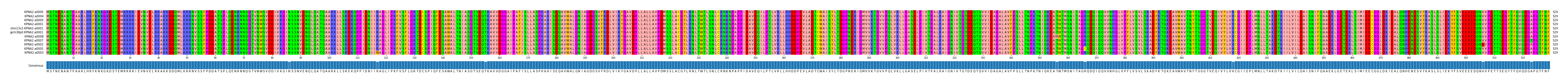 Multiple Alignments (by translate haplotype similarity)