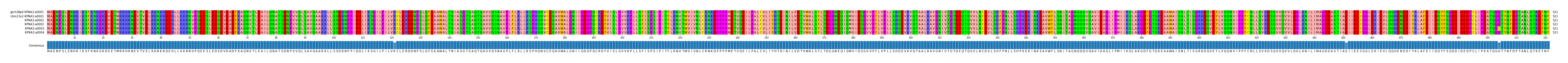 Multiple Alignments (by translate haplotype frequency)