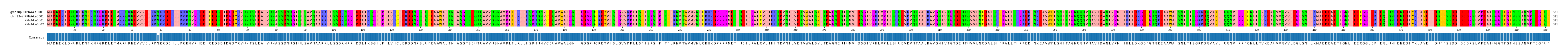 Multiple Alignments (by translate haplotype similarity)